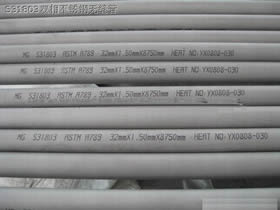 Cold Rolled Duplex Stainless Steel Pipe S31803 / S31500 / S32750 A789 / A790